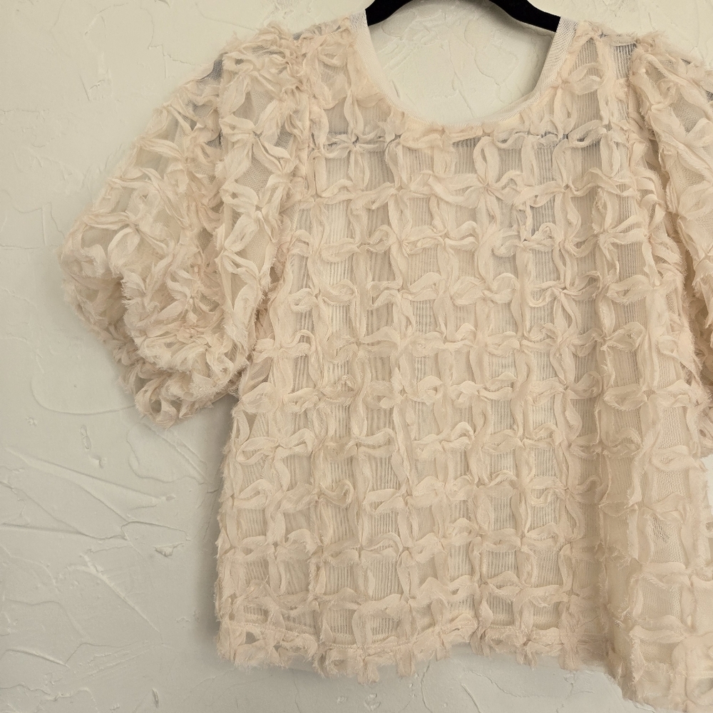 Anthro Sarah Hann Cream Tulle Karla Textured Puff Sleeve Top, S - Picture 4 of 12